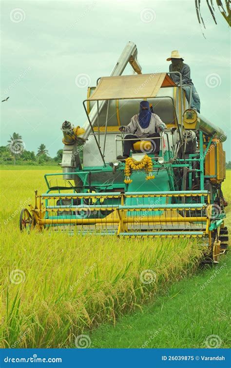 Frontview Of Rice Harvesting Machine Royalty Free Stock Photo - Image: 26039875