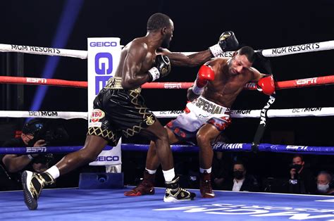 Crawford beats Brook with knockout in welterweight title fight | Daily Sabah