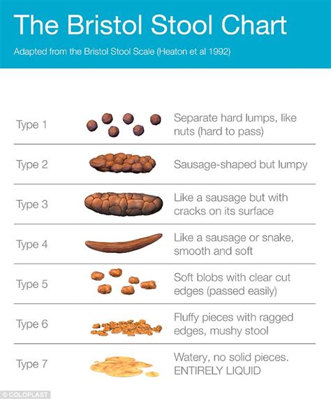 What Does Colon Cancer Poop Look Like Pictures - PictureMeta