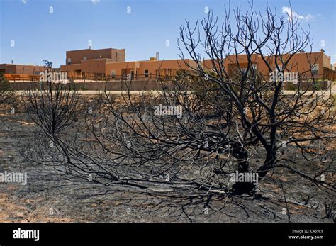 Brush fire damage Stock Photo - Alamy