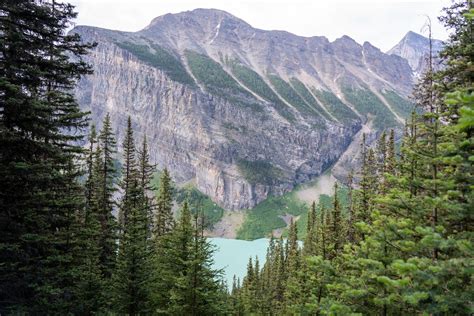 Fairview Mountain in Banff National Park · Free Stock Photo