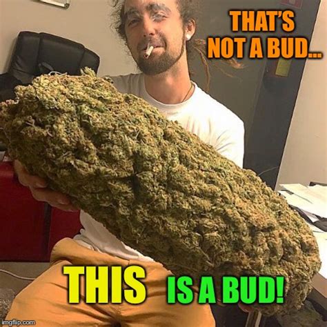 Funny Supreme Smoking Bud Memes & Cool Stoner Gifs - NGU