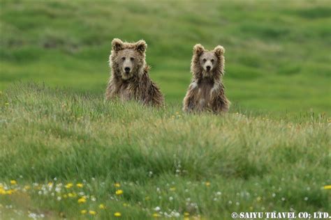 Deosai National Park - Re:Discover Pakistan