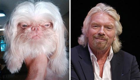 These Dogs Totally Look Like Hollywood Celebrities