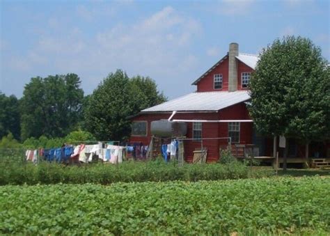 Tennessee Amish in summer | Summer scenes, Amish house, Amish