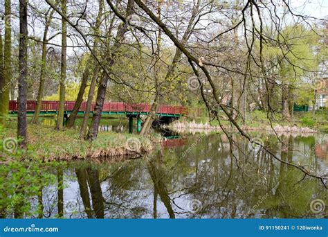 Park in spring stock image. Image of landscape, growing - 91150241