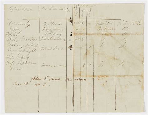 Papers relating to Aborigines in the Singleton District, 1843-1856 ...