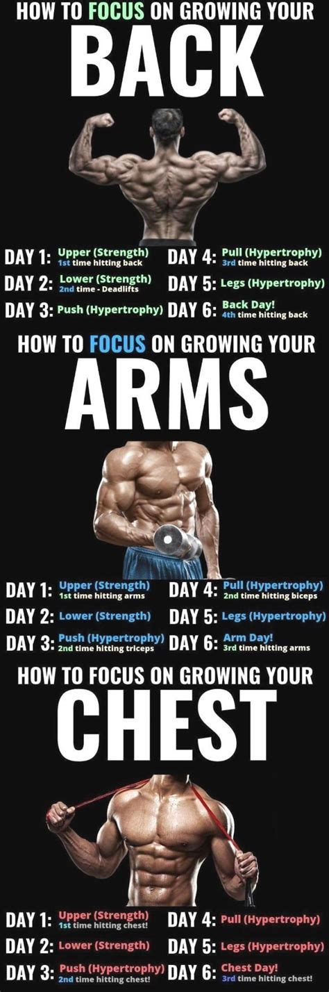 #your #results Improve your results and build a more massive and aesthetic upper body with these ...