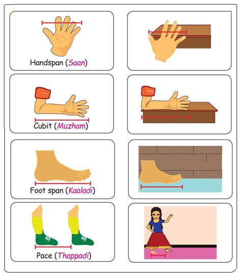 Measures - Measurements | Term 2 Chapter 4 | 1st Maths