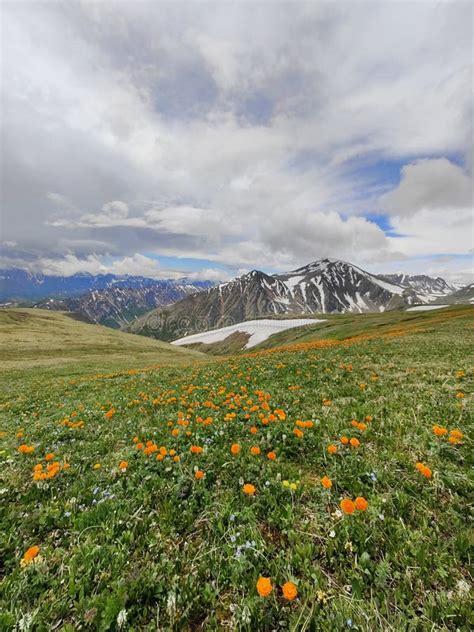 Sayan mountains. Buryatia stock image. Image of prairie - 260482707