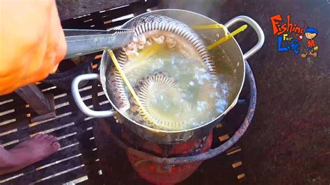 Yummy Cooking Egg Snake Soup Recipe for Dinner, khmer traditional food ...