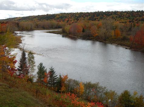 Wilson’s Miramichi River Report Oct 10