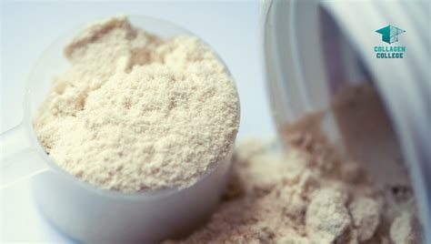 Benefits of Collagen Protein Powder: 7 ways it can help