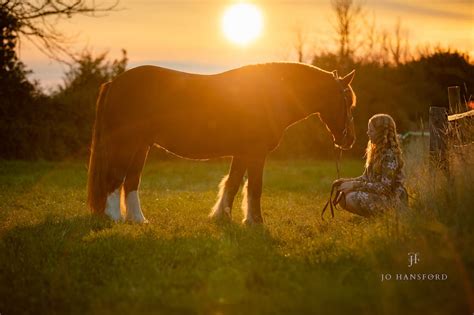 The magic of Golden Hour photography | Equine, Wedding and Family ...