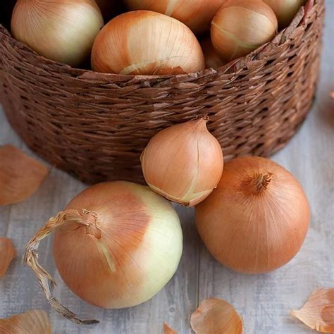 6 Types of Onions and How to Use Them | Taste of Home