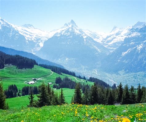 Gimmelwald | Guidester