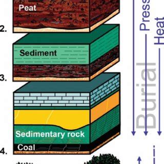 (PDF) Polycyclic Aromatic Hydrocarbons (PAHs) Pollution Generated from Coal-Fired Thermal Power ...