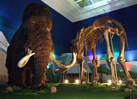 What's the difference between a mammoth and a mastodon? | HowStuffWorks