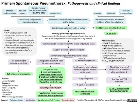 Primary Spontaneous Pneumothorax: Pathogenesis and clinical findings | Calgary Guide