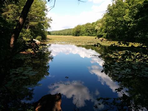 Ramapo Valley County Reservation — Highlight Hiker