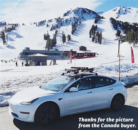 Tesla Model Y Roof Rack, 60% OFF | wcigco.netfirms.com