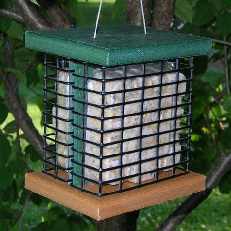 Recycled Poly Double Suet Feeder - Modern - Bird Feeders - by BuilderDepot, Inc.