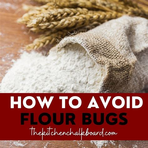 Flour Bugs: 7 Natural Ways to Avoid These Pesky Weevils - The Kitchen Chalkboard