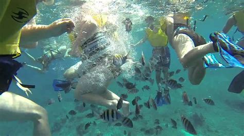 Snorkeling Cozumel - YouTube