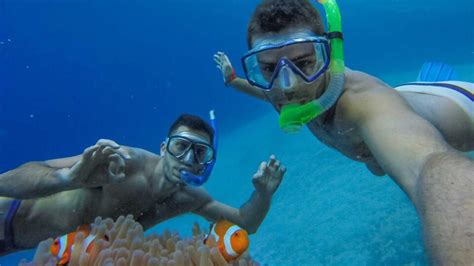 El Nido snorkeling: A complete guide to the crystal clear waters of Palawan