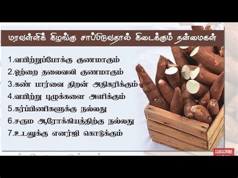 Maravalli kilangu health benefits in Tamil - YouTube