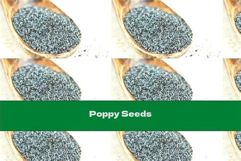 Poppy Seeds in 2021 | Poppy seeds, Growing poppies, Growing poppy seeds