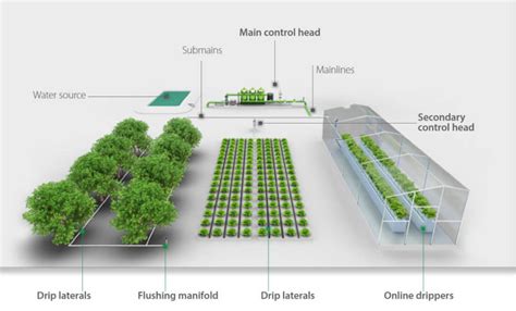 Overview Of Drip Irrigation Systems & Components - The Big Picture | Rivulis Knowledge Hub