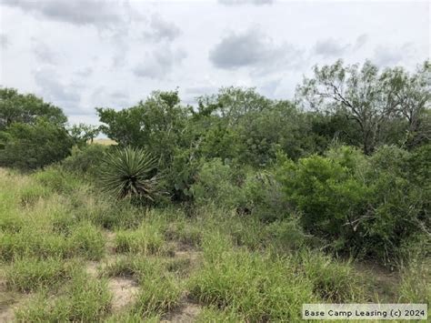 Duval County Texas Hunting Lease - Property #9311 | Base Camp Leasing