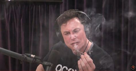 The Joe Rogan Experience #1169 – Elon Musk – Elon Musk Interviews