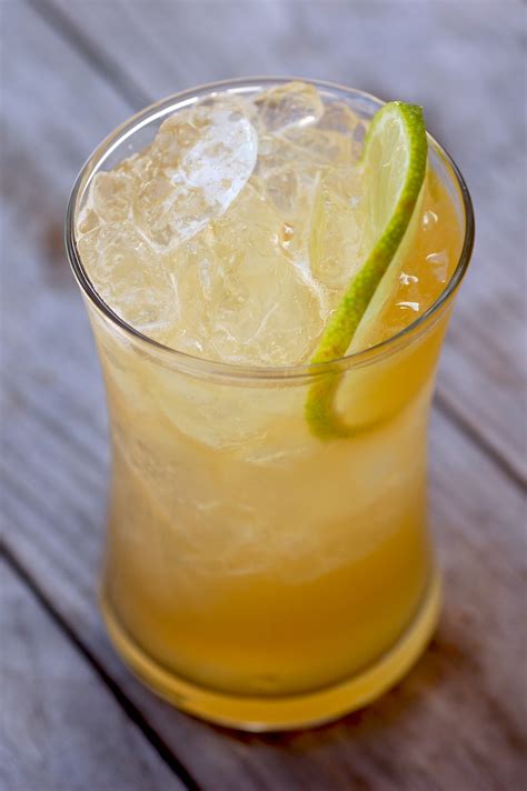 10 of the Best Ginger Beer Cocktail Drinks with Recipes