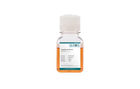 Fetal Bovine Serum (FBS) South America, Heat Inactivated | SF101H-100