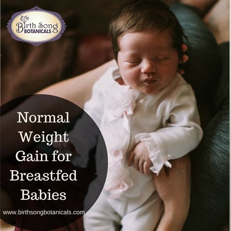 Normal Weight Gain for Breastfed Babies– Birth Song Botanicals Co.