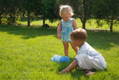 Kids Playing on Green Grass Stock Photo - Image of healthy, jolly: 14701110