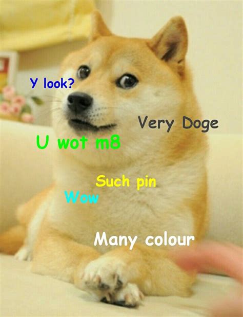 Yes, well I like the Doge meme. I made this one myself | Doge meme, Doge dog, Dog memes