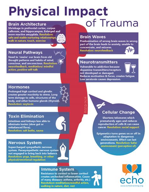 Understanding ACEs/Physical Impacts of Trauma