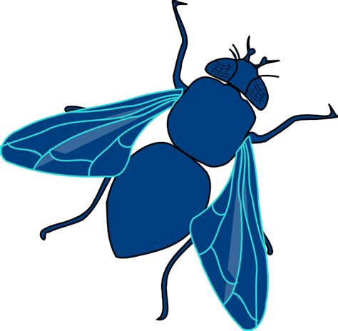 Free Flies Cliparts, Download Free Flies Cliparts png images, Free ClipArts on Clipart Library
