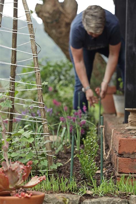 Hedge Planting Tips | Practical Gardening | The Gardener : The Gardener