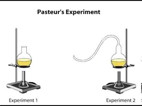 Pasteur's Swan Necked Flask Experiment / Pasteur's Experiment | HowStuffWorks / Dust in air was ...