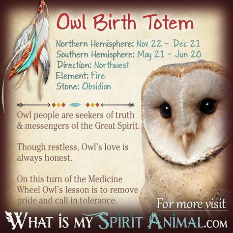 Owl Totem | Native American Zodiac Signs & Birth Signs