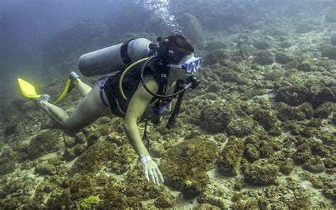 Explore These PADI Dive Sites in Puerto Vallarta | Vallarta Adventures