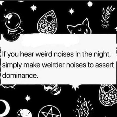 ' If you hear weird noises In the night, simply make weirder noises to assert dominance. - iFunny