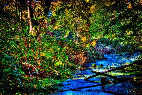 Nisqually Wildlife Refuge P28 Photograph by David Patterson - Fine Art America