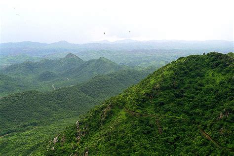 Mount Abu Wildlife Sanctuary, India Photos