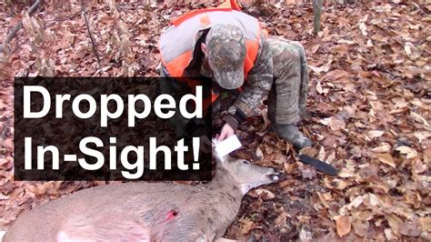 Shotgun Deer Hunting - Perfect Shot! - YouTube