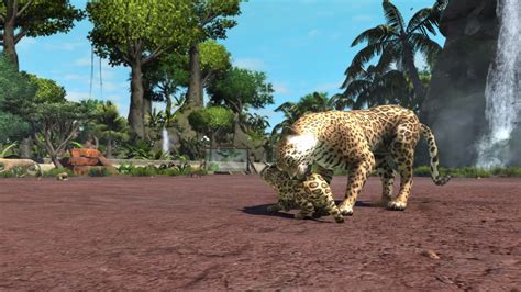 Jaguar | Zoo Tycoon Wiki | FANDOM powered by Wikia